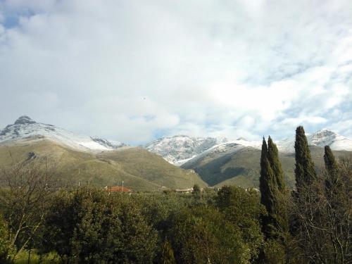a view of snow covered mountains with trees at B&B Villa Ada in Formia