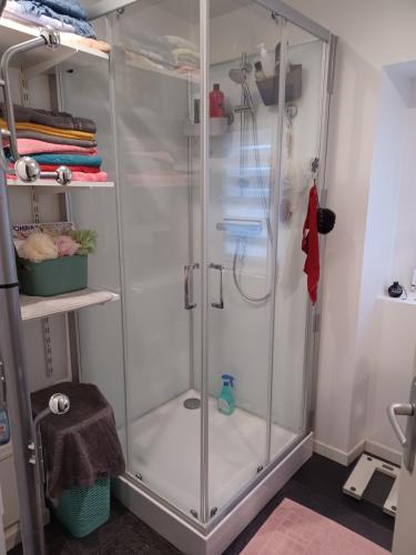 um chuveiro com uma porta de vidro na casa de banho em Chez Anita em Plérin