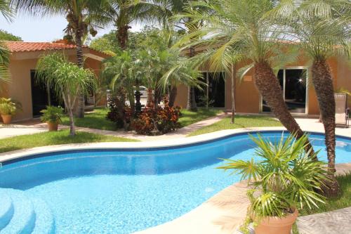 a swimming pool in front of a house with palm trees at Myoli Wellness & Happiness BnB in Playa del Carmen