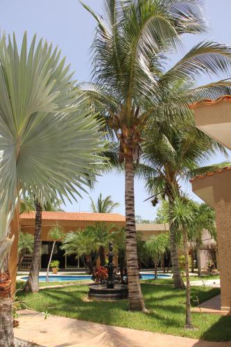 a group of palm trees in front of a building at Myoli Wellness & Happiness BnB in Playa del Carmen