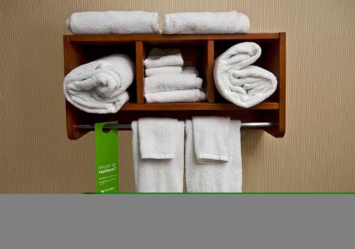 einen Handtuchhalter mit Handtüchern im Bad in der Unterkunft Hampton Inn Asheboro in Asheboro