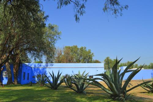 a blue building with plants in front of it at Villas Arqueologicas Teotihuacan in San Juan Teotihuacán
