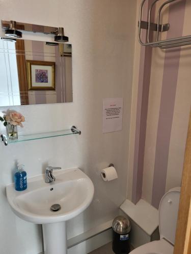 a bathroom with a sink and a shower at Macbeth Arms in Lumphanan
