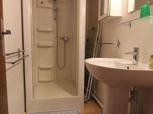 a bathroom with a shower and a sink at Chalet Huez, 3 pièces, 6 personnes - FR-1-405-184 in LʼHuez