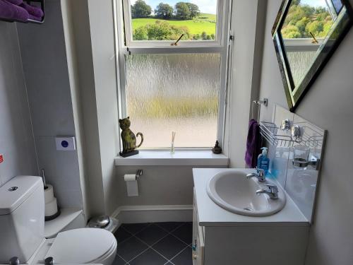 a bathroom with a sink and a toilet and a window at Macbeth Arms in Lumphanan