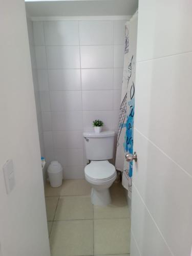 a bathroom with a toilet with a plant on it at santiago centro in Santiago