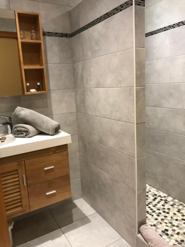 La salle de bains est pourvue d'une douche et d'un lavabo. dans l'établissement Au Bois de Lune, à Châtel