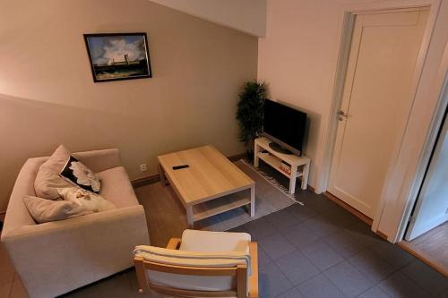sala de estar con sofá y mesa en Cosy flat with 180cm wide very comfortable bed en Sandefjord