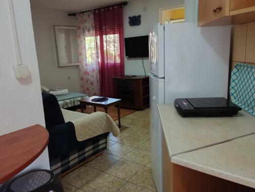 eine Küche mit einem Kühlschrank und ein Wohnzimmer in der Unterkunft Vila Katerina Dojran in Sretenovo