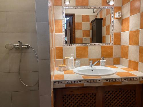 uma casa de banho com um lavatório e um chuveiro com um espelho. em Cozy & stylish city centre flat em Budapeste
