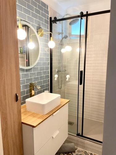 une salle de bain avec un lavabo et une douche dans l'établissement Les toits de Toulouse - T3 & GARAGE, à Toulouse