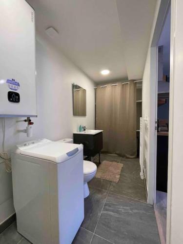 une salle de bain avec des toilettes blanches et un lavabo dans l'établissement L'Amazonite - Romans, à Romans-sur-Isère