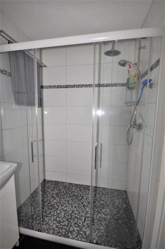 a bathroom with a shower with a glass door at Ferienhaus Schneekopf in Suhl