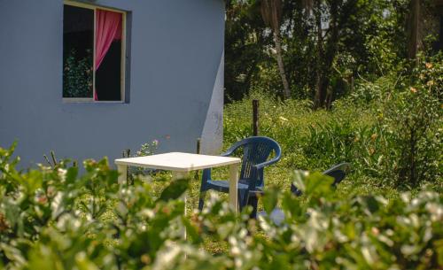 a table and chair in front of a blue house at Cabañas yami in Playa Ladrilleros