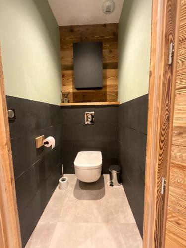 a bathroom with a toilet and a tv on the wall at Gite Roche Des Ducs avec Piscine toute l'année, Spa, Sauna, Hammam in Rochesson