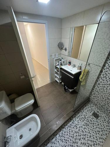 a bathroom with a sink and a toilet and a shower at Apartamento 2 habitaciones Pichincha in Rosario