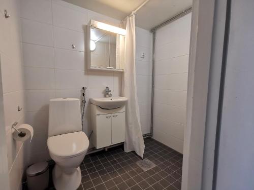 un bagno con un water, un lavandino e uno specchio di Rovaniemi Cityhome Pekankatu a Rovaniemi