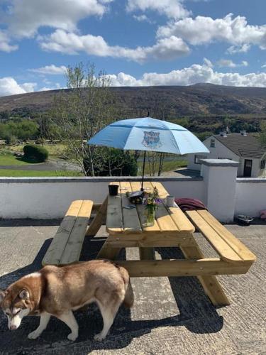 Gallery image of Spacious Cottage in Meenaleck near Gweedore County Donegal in Donegal