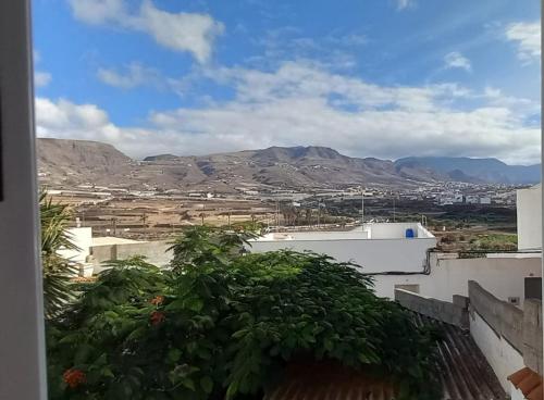 vista sulla città da un edificio con albero di Casa Las Guayarminas a Gáldar