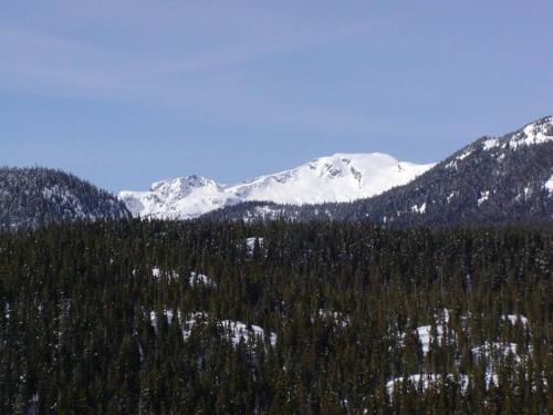 eine schneebedeckte Bergkette mit Bäumen und schneebedeckten Bergen in der Unterkunft Basecamp Strathcona Park View Chalet in Mount Washington