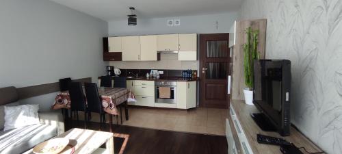 a small kitchen and living room with a couch at Brzozowa in Ustroń