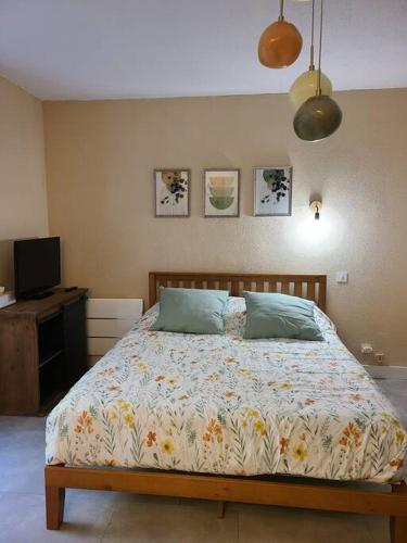 una camera da letto con un letto e una televisione di Joli studio rénové situé au pied des thermes ad Amélie-les-Bains-Palalda