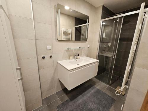ein weißes Bad mit einem Waschbecken und einer Dusche in der Unterkunft Luxusní apartmán 3KK u náměstí - Klicperova in Hradec Králové