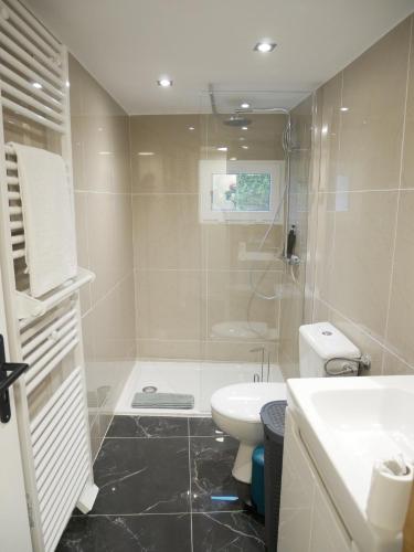 une salle de bain avec une douche, un lavabo et des toilettes dans l'établissement Le nid douillet d'Honfleur, à Équemauville
