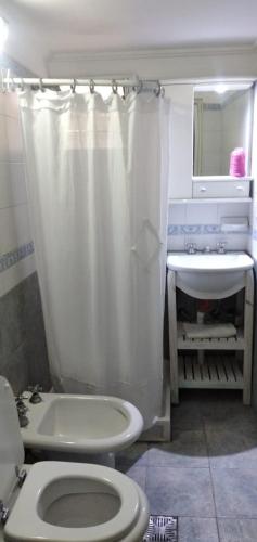 y baño con aseo, lavabo y ducha. en Departamento MENDOZA QUINTA en Mendoza