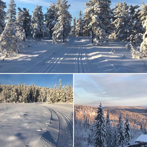 three different pictures of a snow covered field with trees at Middagslia - cabin at Skrim with amazing view in Omholt