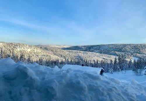 a pile of snow with trees in the background at Middagslia - cabin at Skrim with amazing view in Omholt