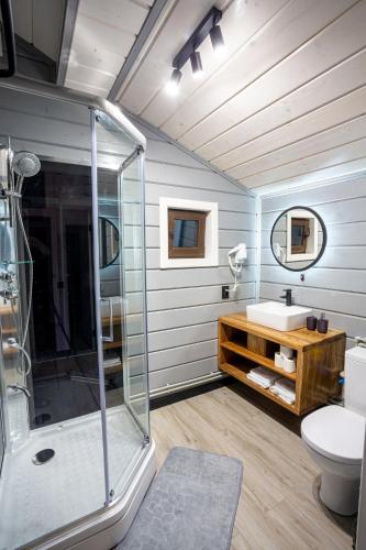 a bathroom with a shower and a toilet and a sink at Lisoviy Zatyshok, z vidkrutum litnim baseynom,чан-джакузі in Slavske