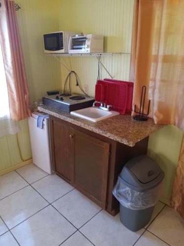 a small kitchen with a sink and a microwave at Apartment Unforgetable Gardens in Falmouth