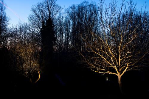 Galeriebild der Unterkunft Nuit Blanche in Oud-Heverlee