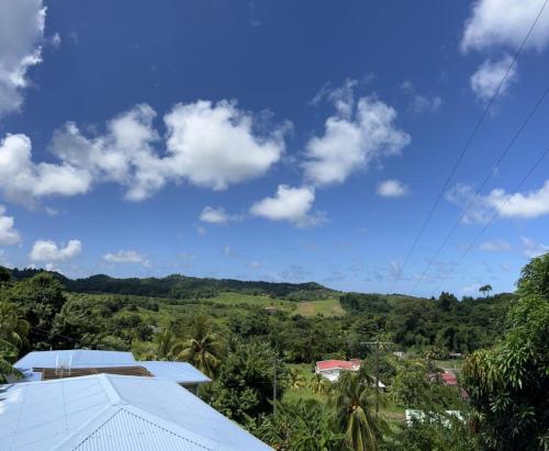 a view of the jungle from the roof of a house at Le domaine de Périolat in Le François
