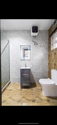 La salle de bains est pourvue de toilettes, d'un lavabo et d'une douche. dans l'établissement Kaf lag apartment, à Lekki
