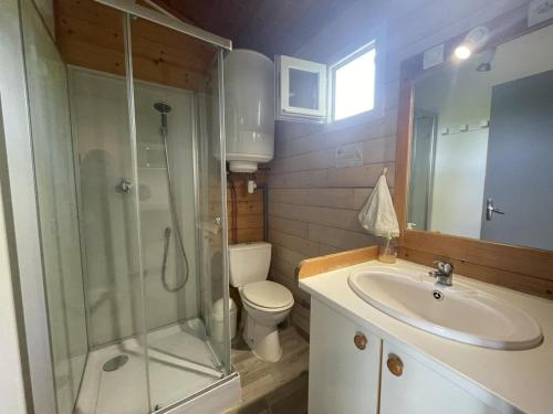 uma casa de banho com um chuveiro, um WC e um lavatório. em Gîte Pierrefitte-sur-Loire, 3 pièces, 4 personnes - FR-1-489-360 em Pierrefitte-sur-Loire