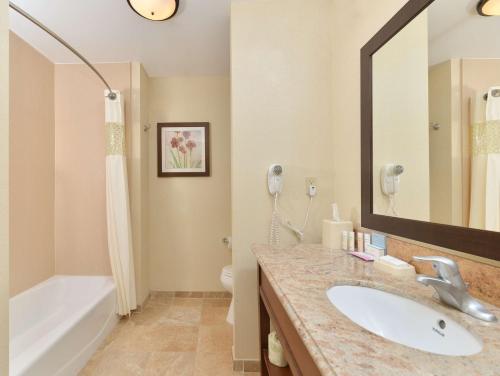ein Badezimmer mit einem Waschbecken, einer Badewanne und einem WC in der Unterkunft Hampton Inn Muscatine in Muscatine