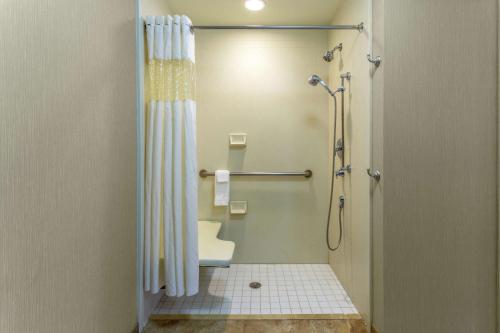 a bathroom with a shower curtain and a toilet at Hampton Inn Okeechobee - Lake Okeechobee in Okeechobee