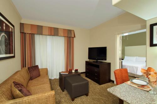 Televisyen dan/atau pusat hiburan di Homewood Suites by Hilton Houston-Woodlands-Shenandoah