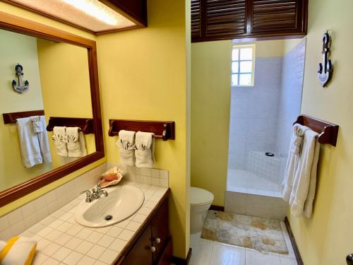 a bathroom with a sink and a toilet and a shower at Belizean Reef Suites in San Pedro