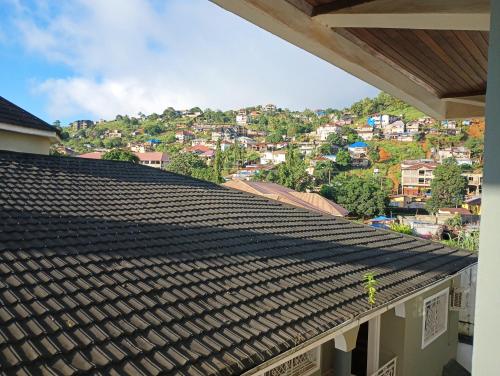 a person standing on top of a roof at Himma's Apartments in Adonkia
