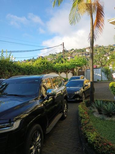 two cars parked in a driveway next to a palm tree at Himma's Apartments in Adonkia