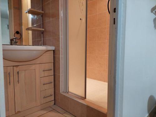 une salle de bain avec un lavabo et une douche dans l'établissement Charmant T2 à Brides-les-Bains avec terrasse et animaux admis - FR-1-512-263, à Brides-les-Bains