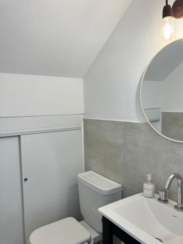 a bathroom with a toilet and a sink and a mirror at Laguna Pampa in Chascomús