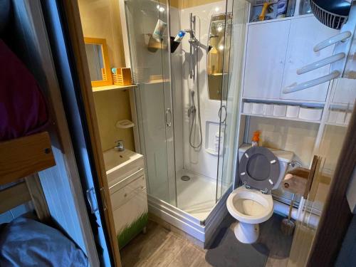 a small bathroom with a toilet and a shower at Studio Villard-de-Lans, 1 pièce, 4 personnes - FR-1-689-120 in Villard-de-Lans