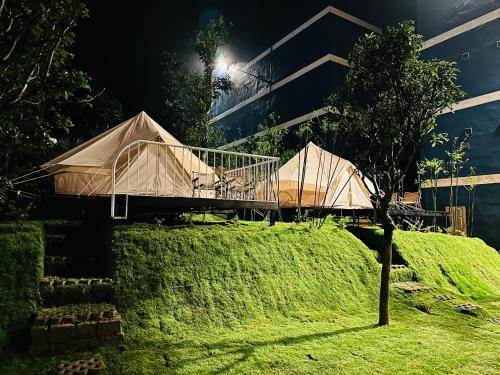 a tent on top of a hill with a tree at Giăng's House Farmstay & Glamping in Bao Loc