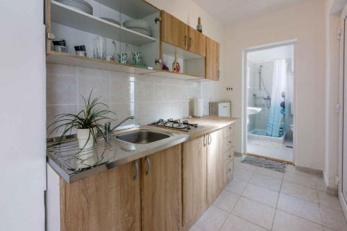 Dapur atau dapur kecil di Studio in Grizane 41657