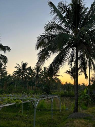 a palm tree in a field with a bridge at Rinjani Eco Villa Senaru in Bayan
