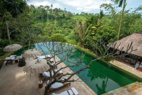 uma piscina num resort com guarda-sóis e vista em Komaneka at Tanggayuda Ubud em Ubud